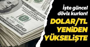 Merkez'in müdahalesi sonrası düşüşe geçen dolar/TL, Erdoğan'ın Açıklamaları İle Yeniden Yükseldi