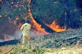 Çanakkale'deki orman yangınının başlama anları ortaya çıktı