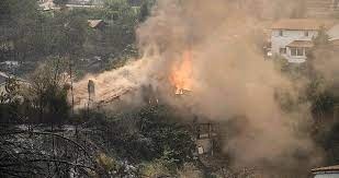 Yunanistan'da yangınların devam ettiği ormanlık alanda 18 kişinin cesedi bulundu