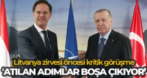 Cumhurbaşkanı Erdoğan, Hollanda Başbakanı Rutte ile telefonda görüştü