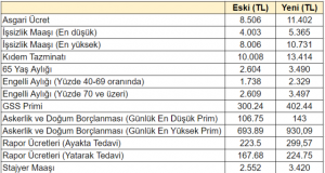 Asgari ücret zammıyla birlikte işsizlik maaşı, kıdem tazminatı, engelli maaşı dahil tüm ödemelerin miktarı değişti