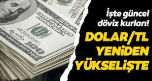 Merkez'in müdahalesi sonrası düşüşe geçen dolar/TL, Erdoğan'ın Açıklamaları İle Yeniden Yükseldi