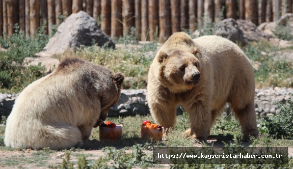 Anadolu Harikalar Diyarı Hayvanat Bahçesi 24 bin ziyaretçiyi ağırladı