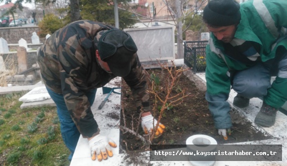 Develi Belediyesi Ekipleri Şehit Mezarlarını Çiçeklerle Süsledi