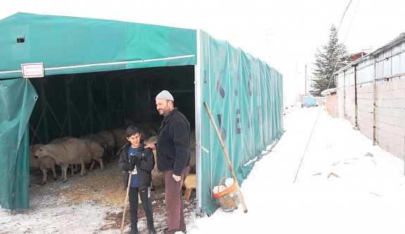 Kocasinan Belediyesi, 18 Büyükbaş Ve 60 Küçükbaş Hayvanın Hayatını Son Anda Kurtardı