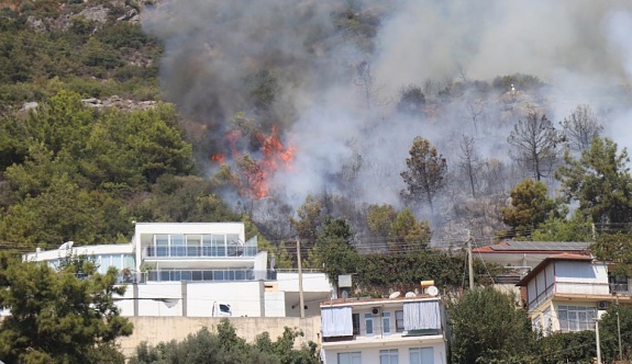 Alanya'da Orman Yangını !