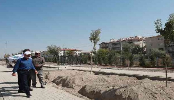 Kocasinan'dan 10 bin metrekarelik 'Küçük Dostlar Kedi Kasabası'