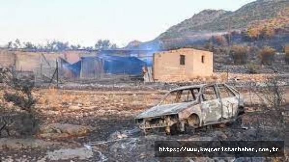 Yunanistan'da yangınların devam ettiği ormanlık alanda 18 kişinin cesedi bulundu