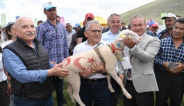 Akkışla Geleneksel Yeni Yoğurt Bayramı ve Kilim Festivali Yapıldı